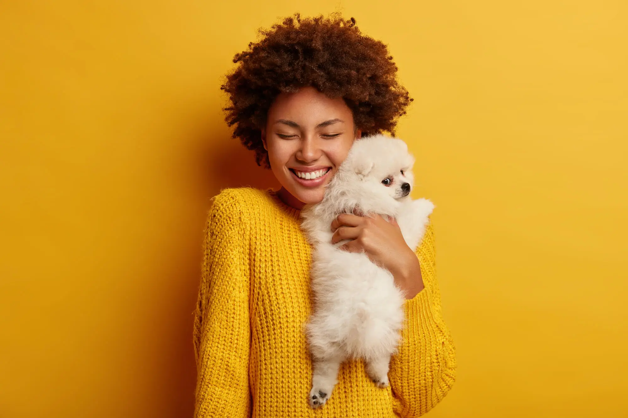 Discover the Pros and Cons of Pets in Rental Properties in Lakewood